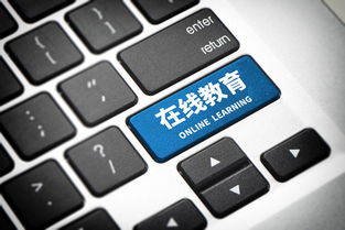做在线教育平台的开发的有哪些